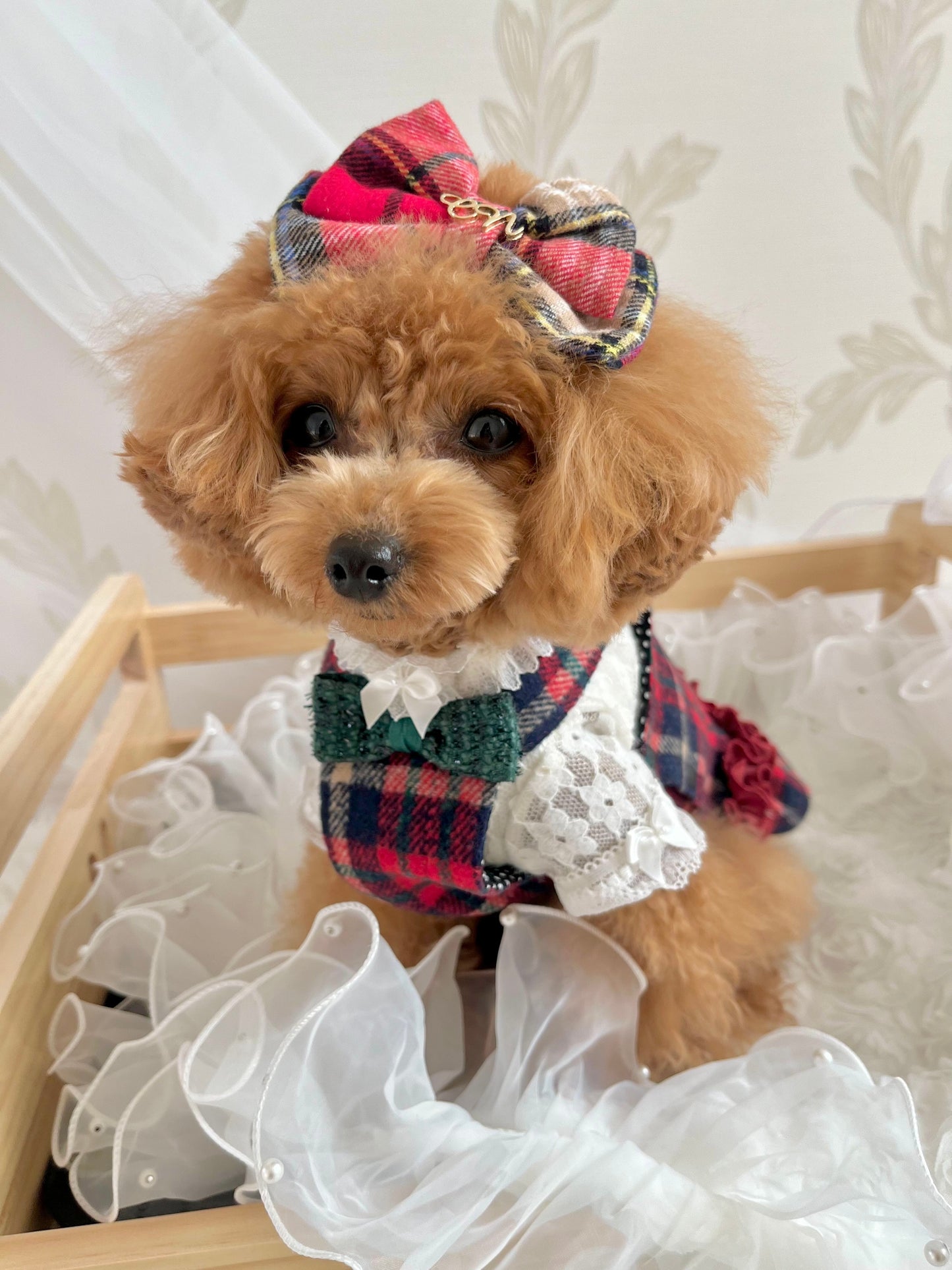 タニウィナジングルウールベルズフェスティブファズキット|ペットの服