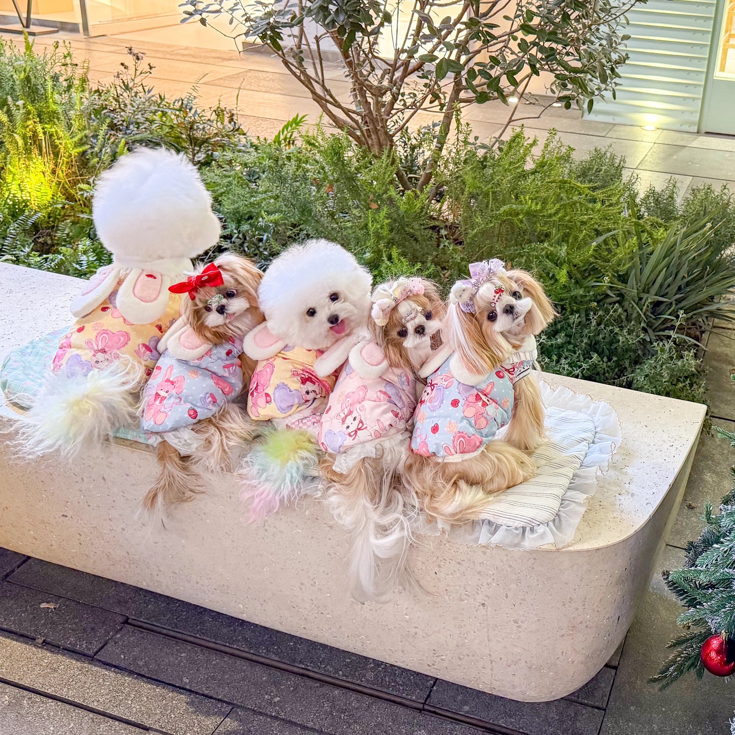 Fancy House Rabbit Ear Premium Down Vest 90%(90% White Duck Down)