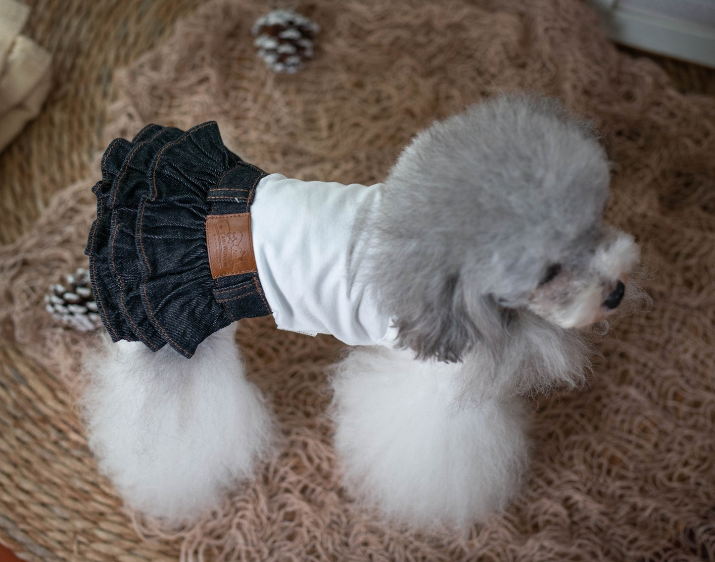 小型犬用のタニウィナデニムドレス