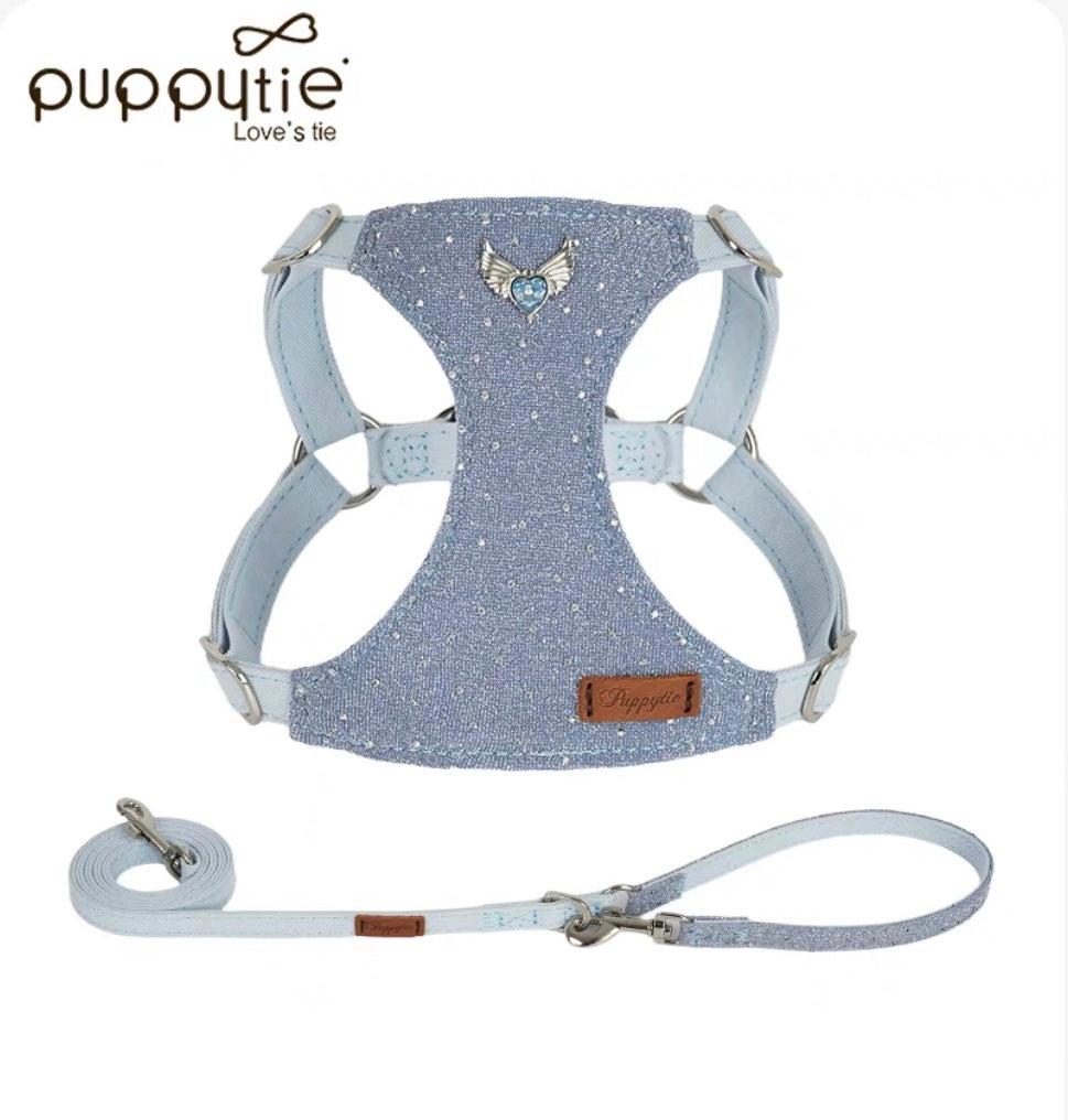 Puppytie 小さな星のための、きらめく一歩|あなたの小さな星のための星空の歩み