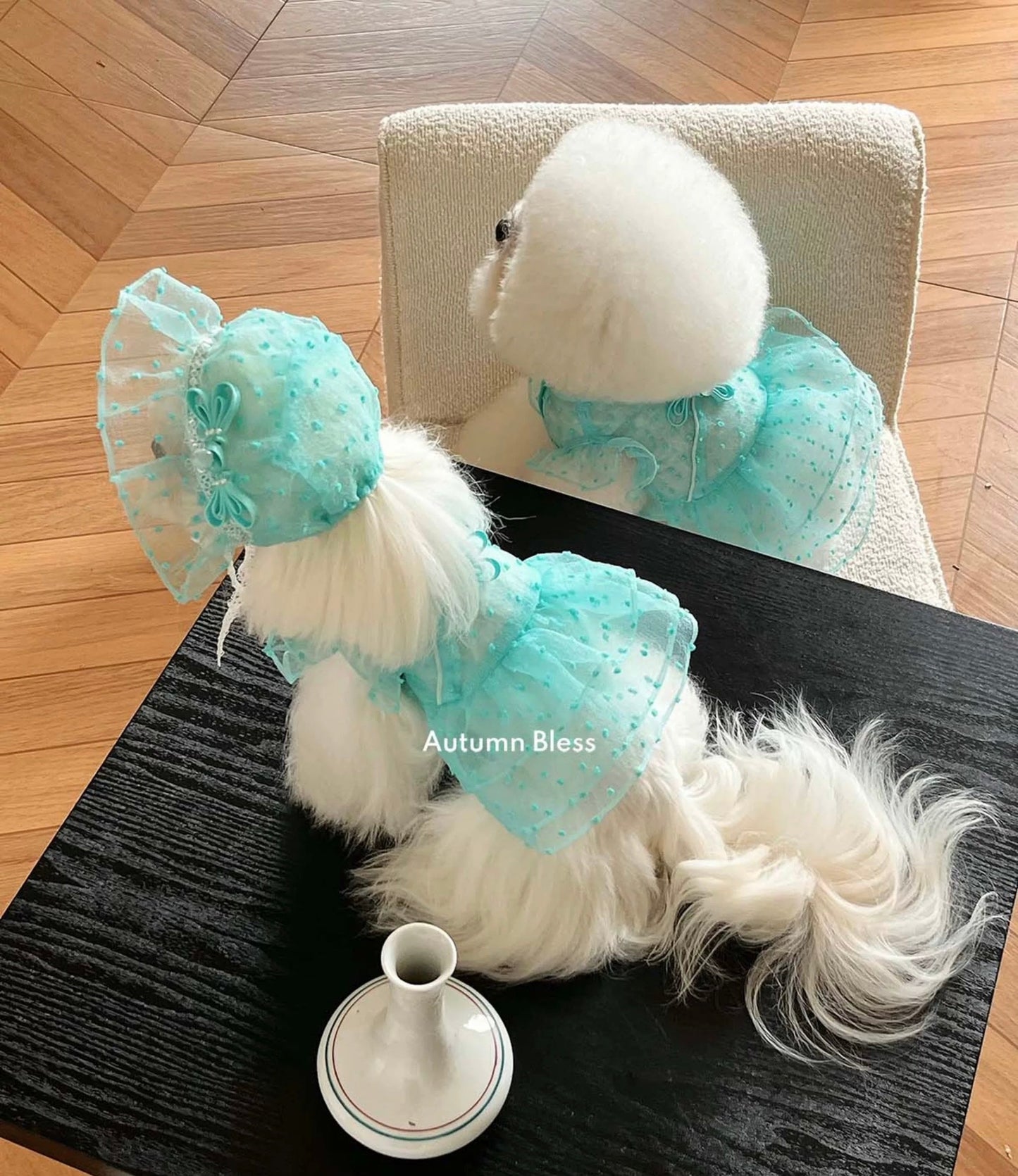 Autumn Bless ドット付きチュールレースドレス