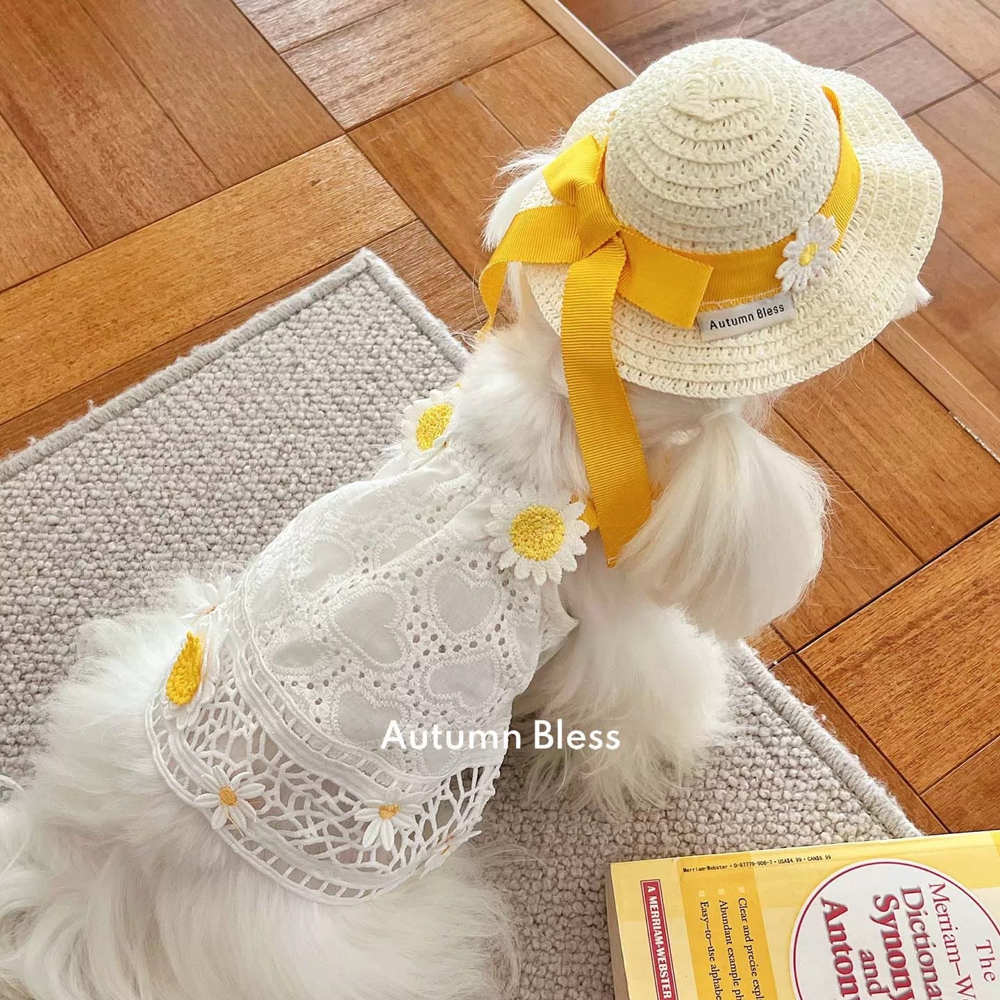 Autumn Bless レモンデイジー&マリンピクニックワンピース | Lemon Daisy & Marine Picnic Dress
