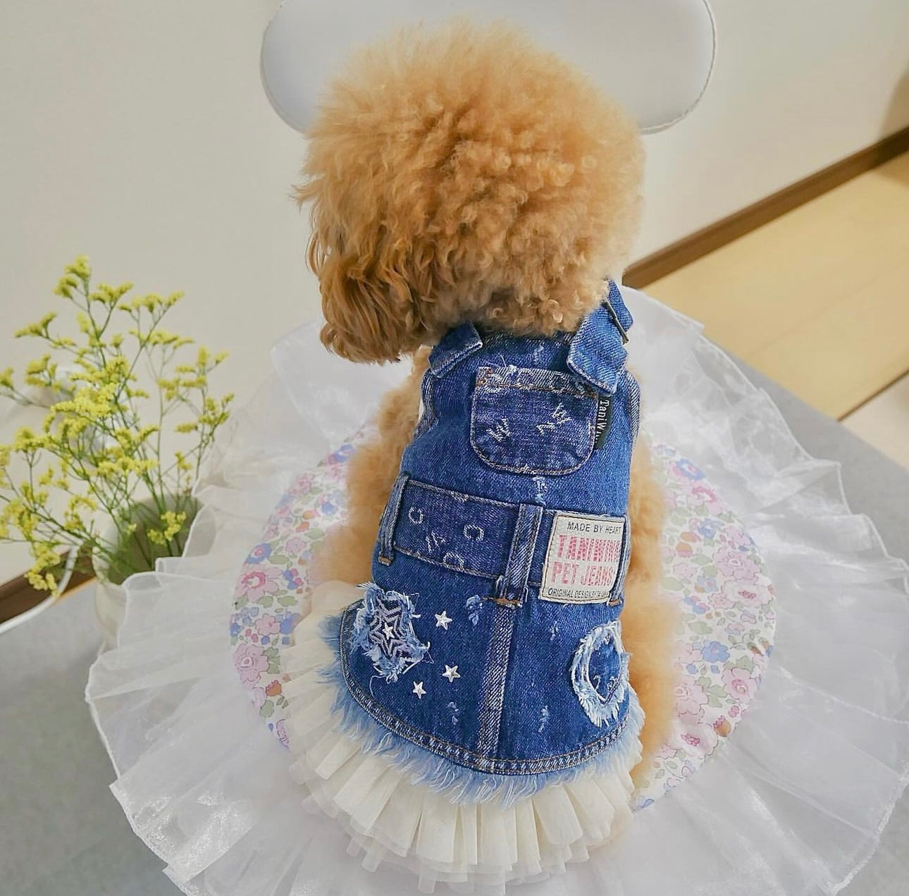 Taniwina Doggy Jean Suspenderドレス - どんな機会でも愛らしいペットのファッション