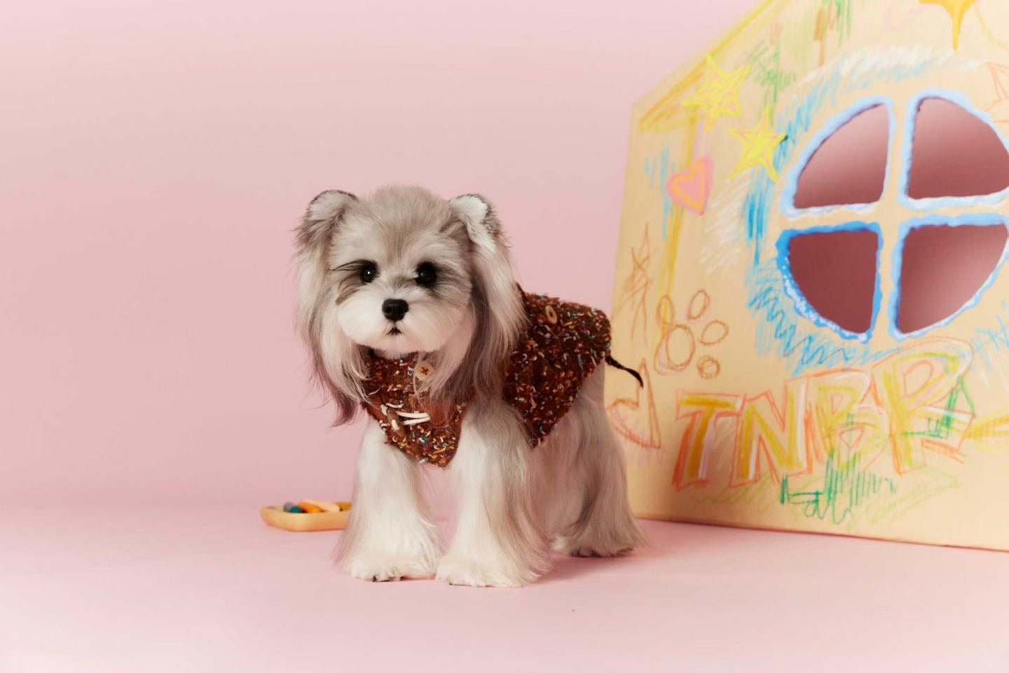 Tawney Bear Classic Brown Tweed Dog Vest