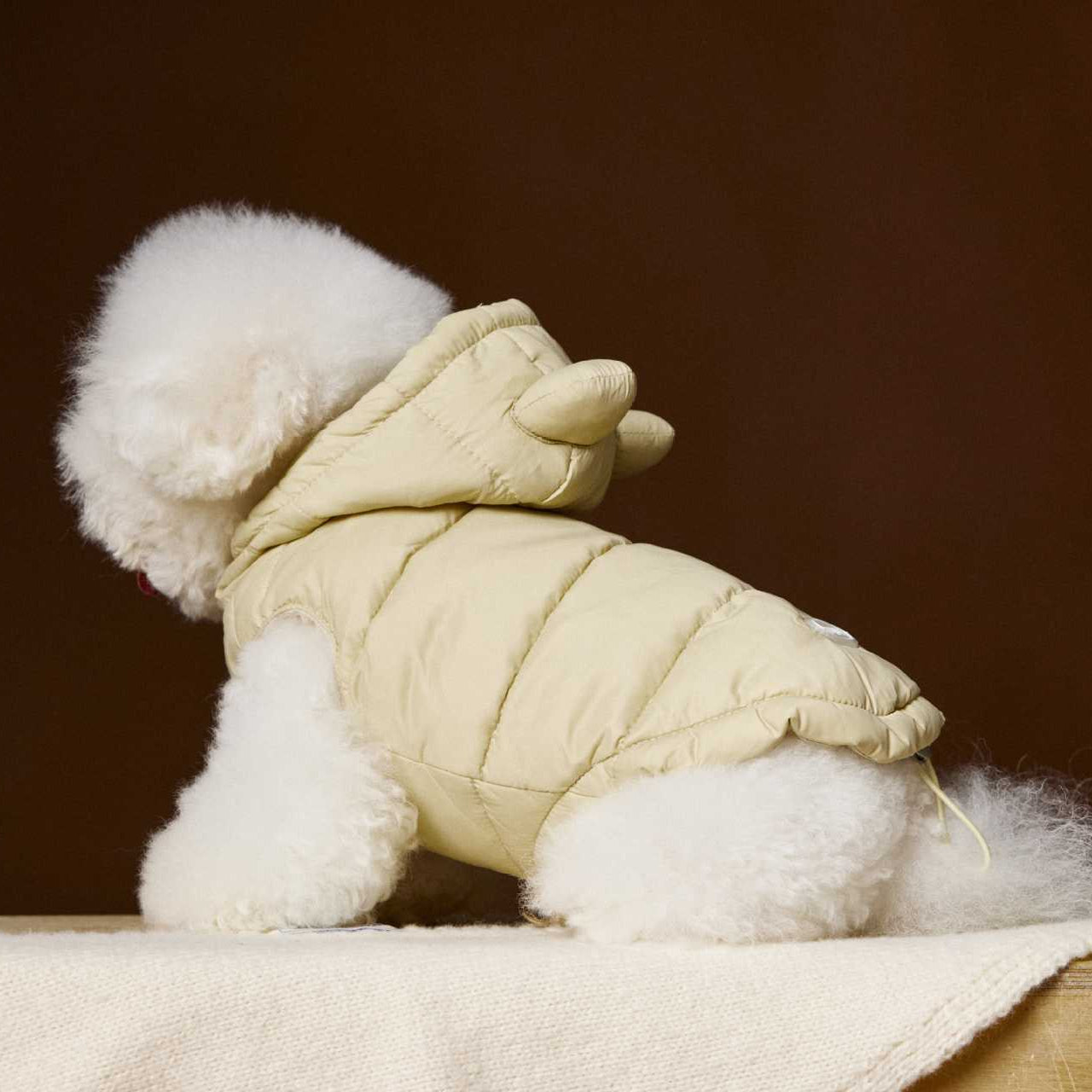 Tawney Bear Bear Ear Zip-Up Down Jacket for Small Dogs (Beige Version)