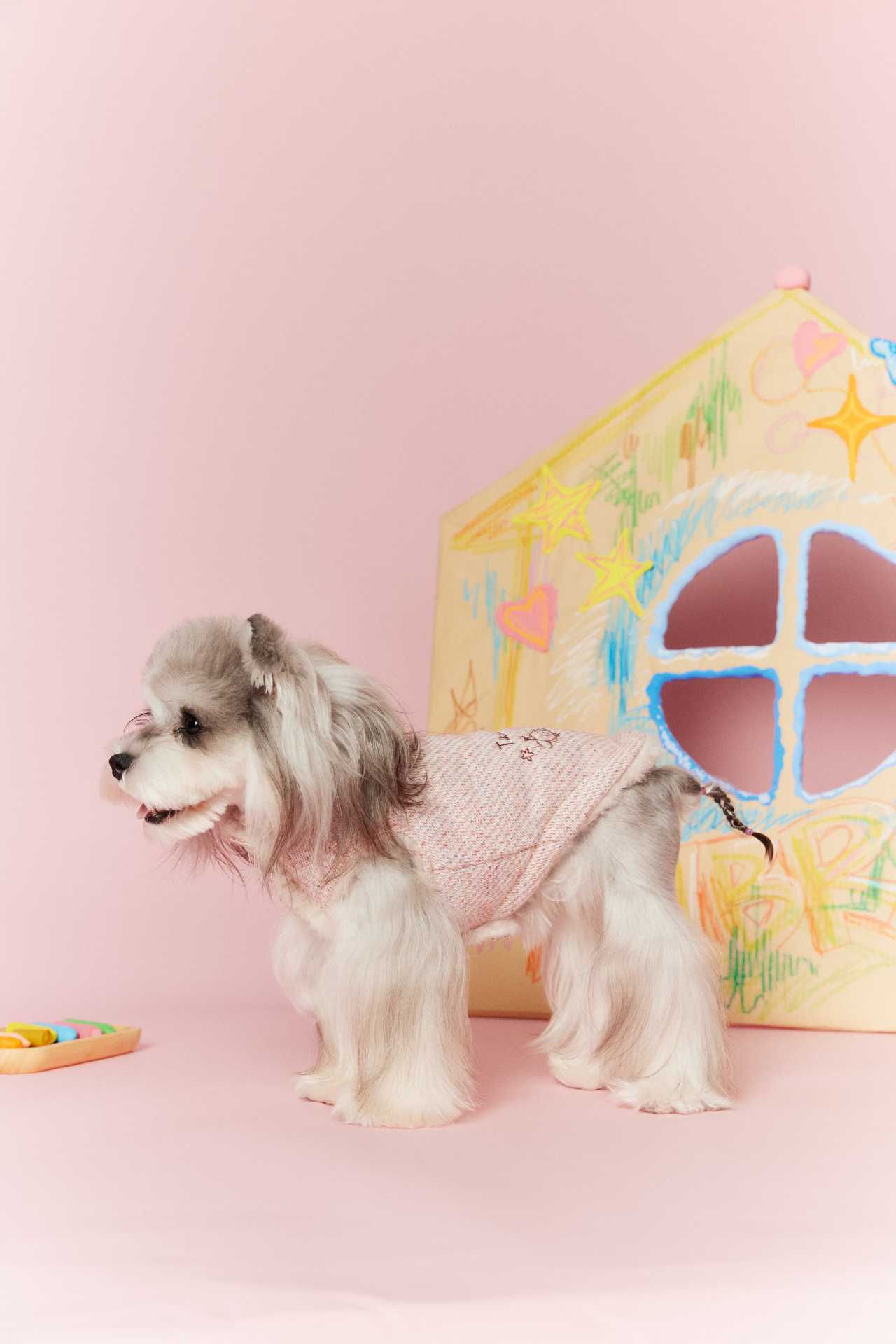 Tawney Bear Reversible Cozy Dog Outerwear (Pink and White Version)