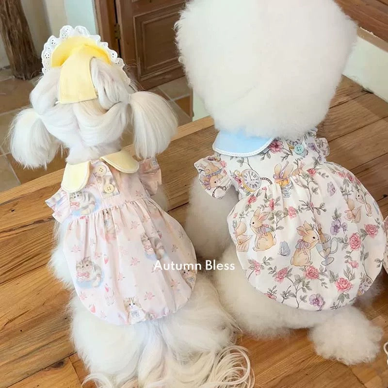 Autumn Bless アリスガーデン丸襟パンプキンドレス | Alice Garden Peter Pan Collar Pumpkin Dress