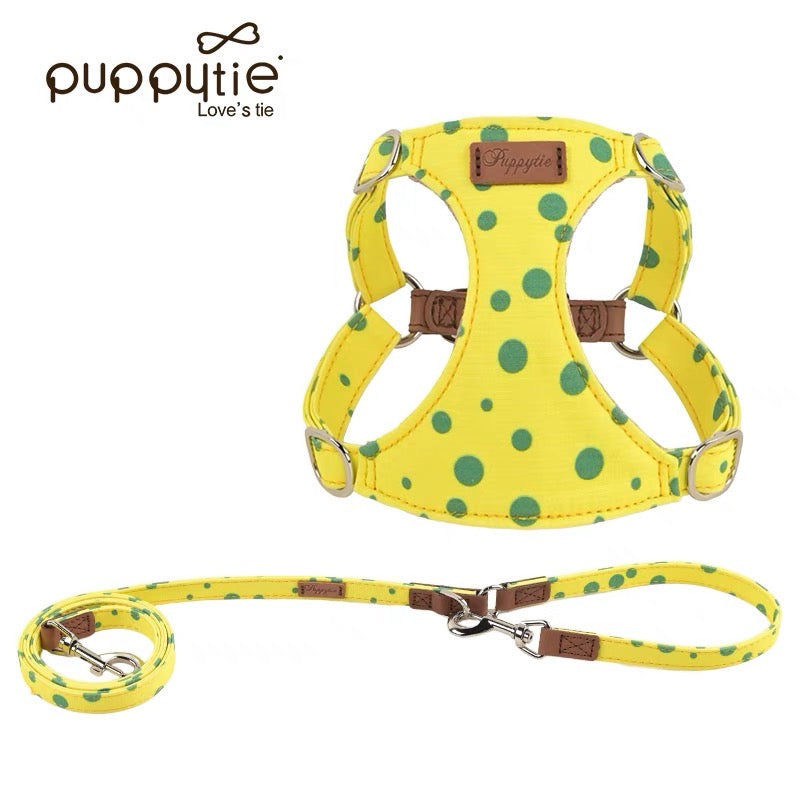 Puppytie 水玉の世界|A World of Polka Dots