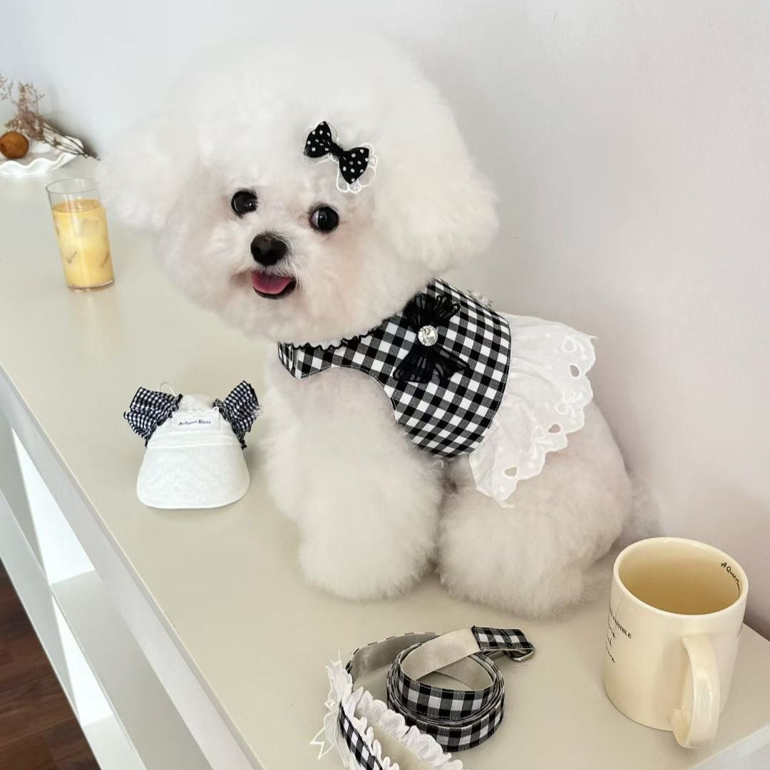 Autumn Bless チェックリボンキャップ&レースリード | Checkered Ribbon Cap & Lace Leash