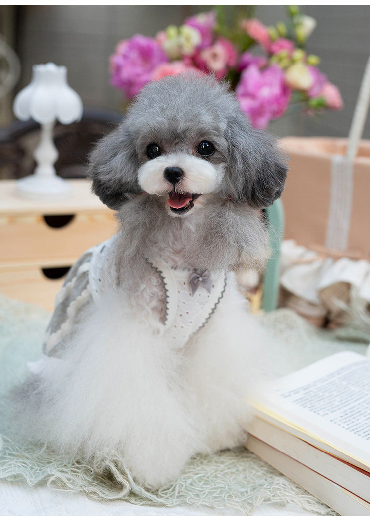 タニウィナフリンジフィネス:スタイリッシュなプーチのためのペットフリンジフリンジサスペンダースカート