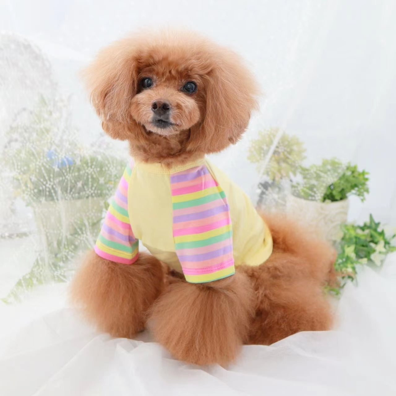 TaniWina Pet Clothing Contrast Color Rainbow Dog Shirt Pet Clothes for Small Dog