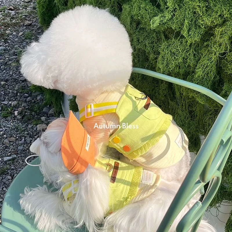 Autumn Bless Matching Cap & Leash – Stripe & Harness Pairing
