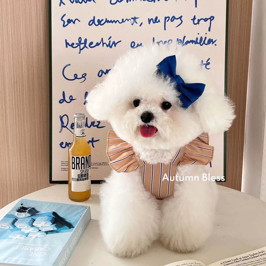 Autumn Bless ストライプリボンドレス(単品・ヘアアクセセット)| Striped Ribbon Dress (Single or with Hair Clip Set)