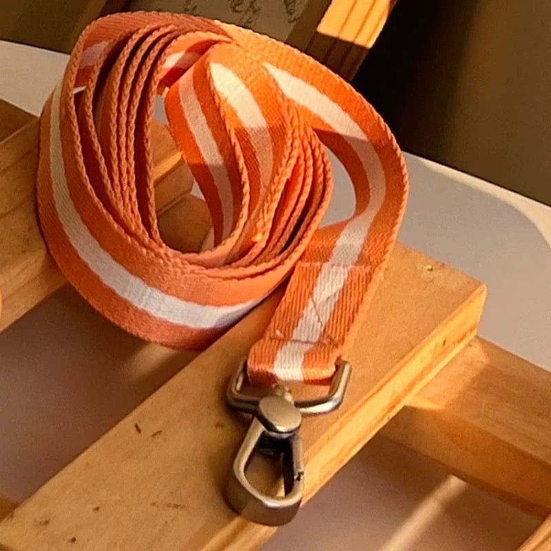 Autumn Bless Matching Cap & Leash – Stripe & Harness Pairing