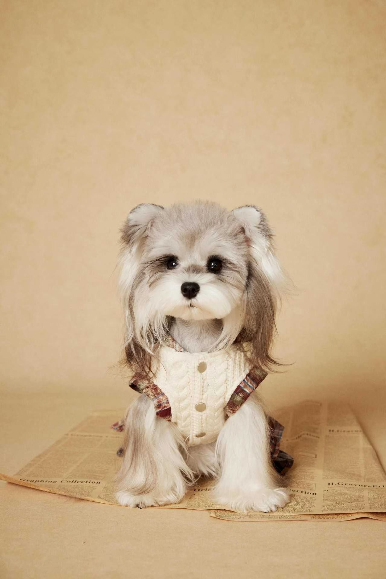 Tawney Bear Knit & Plaid One-Piece Dress for Small Dogs