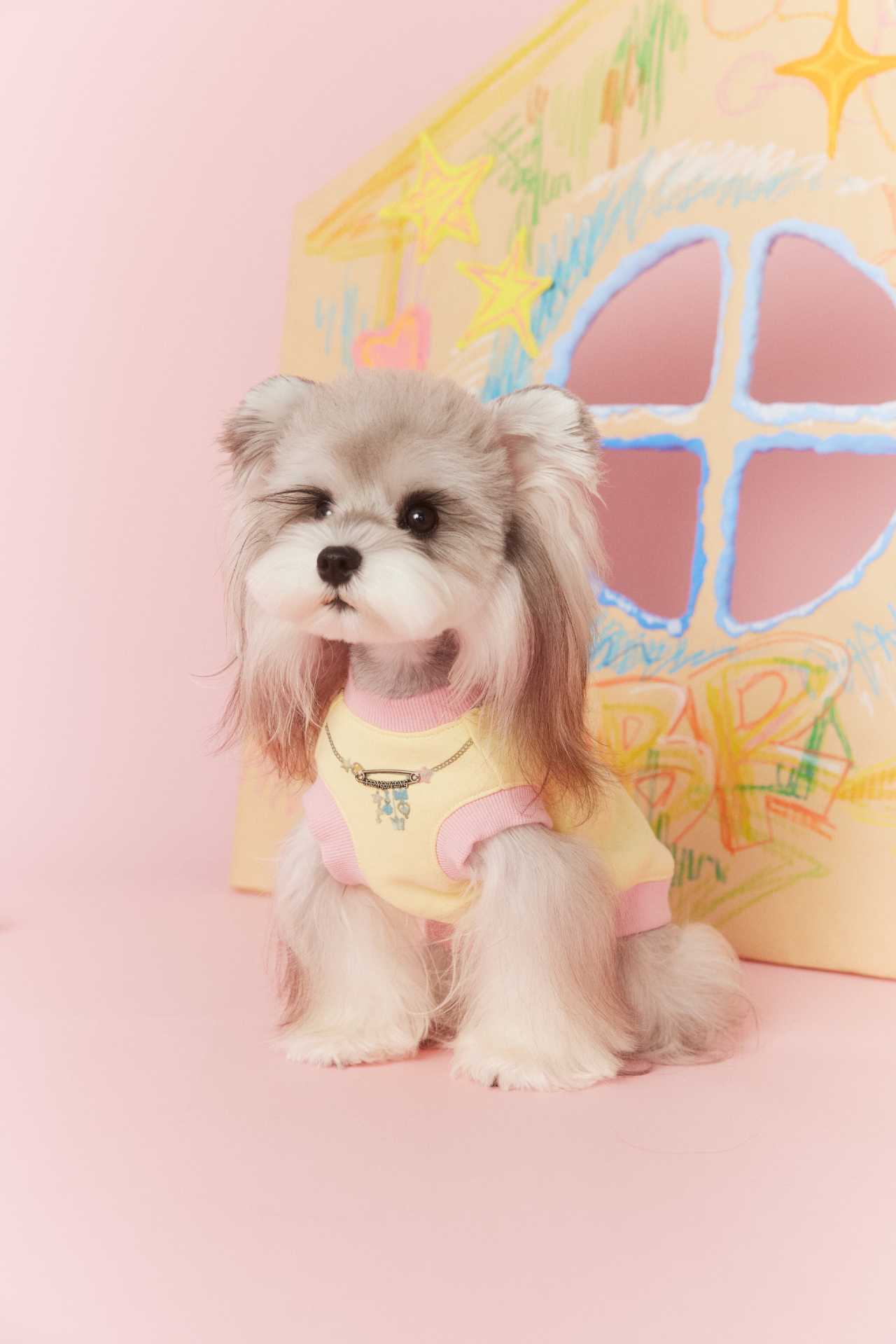 Tawney Bear Star Design Dog Top