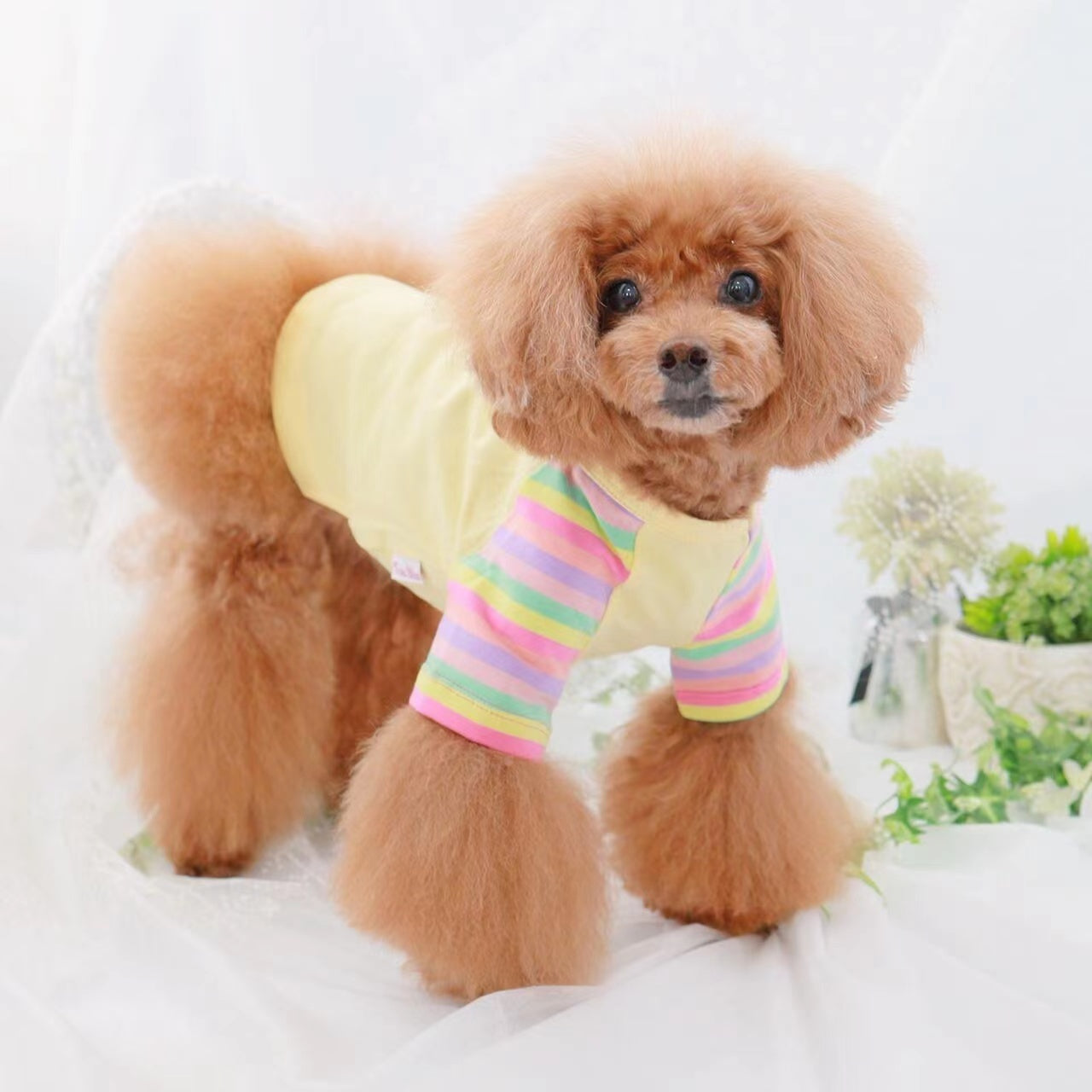 TaniWina Pet Clothing Contrast Color Rainbow Dog Shirt Pet Clothes for Small Dog