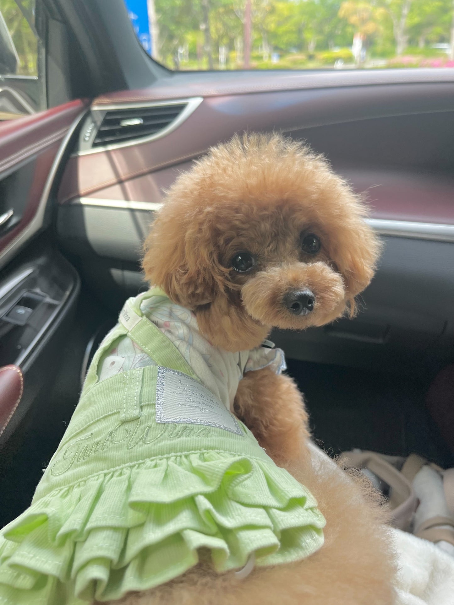 タニウィナかわいいマカロン色のコーデュロイサスペンダースカートは小犬用