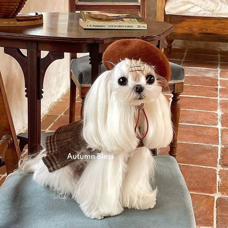 가을 축복 아늑한 체크 무늬 가을 하네스 드레스 작은 개