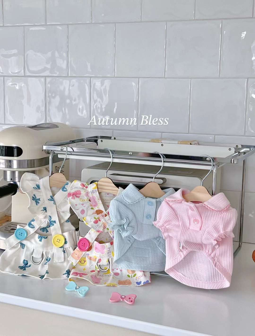 작은 개를위한 하네스 첨부 파일이있는 가을 축복 - 귀여운 버튼 세부 사항