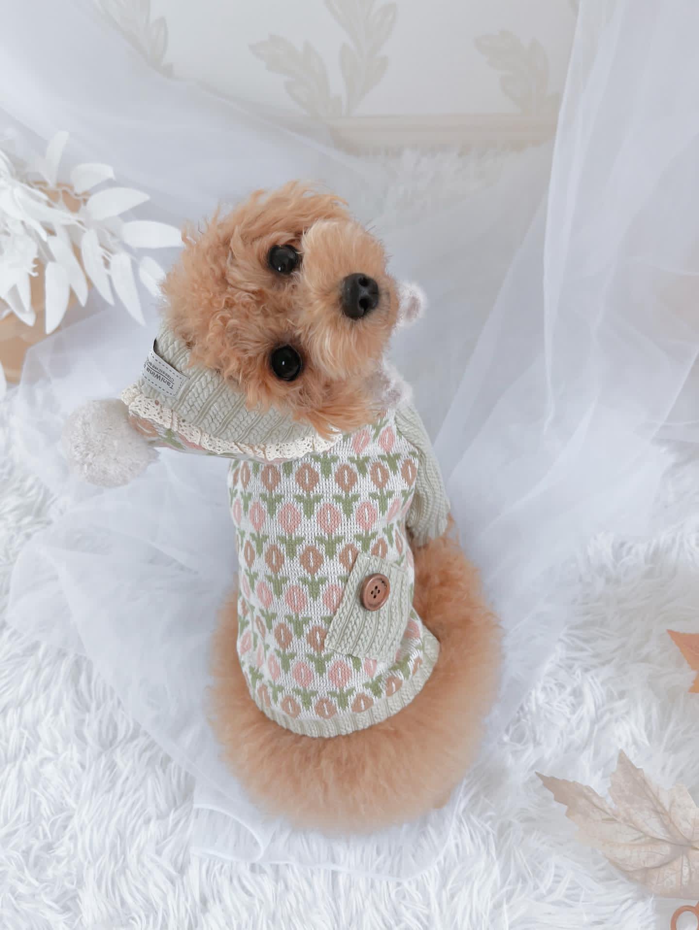 긴 소매와 모자를 곁들인 작은 개를위한 Taniwina 사랑스러운 스웨터, 겨울에 완벽한 스웨터