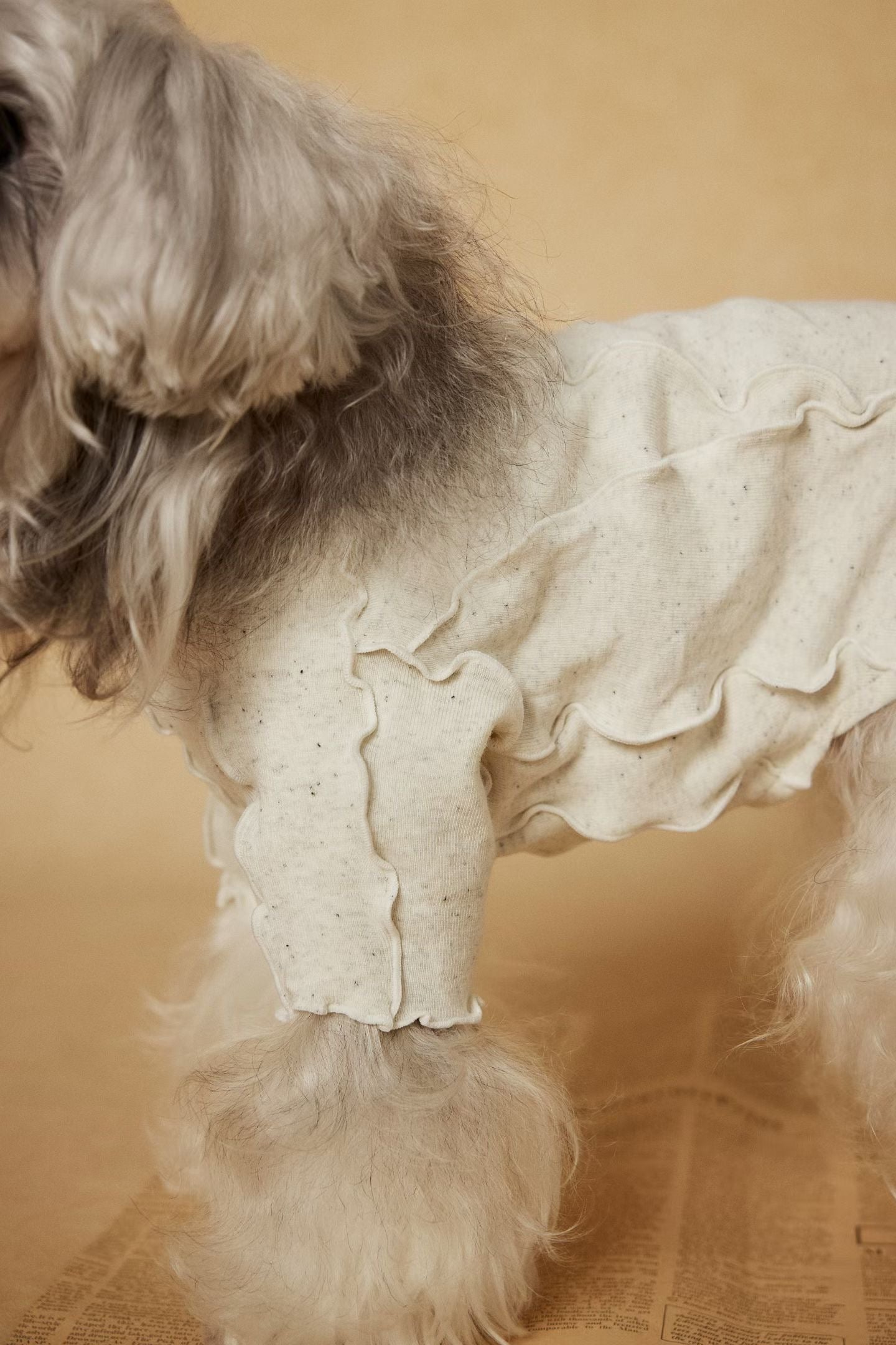 Tawney Bear Ruffled Turtleneck Dog Top