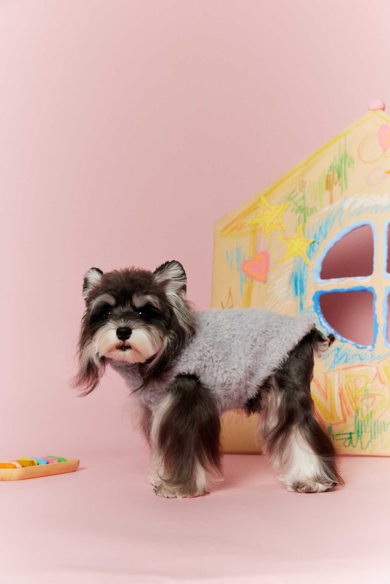 Tawney Bear Reversible Cozy Dog Outerwear (Brown and Light Blue)