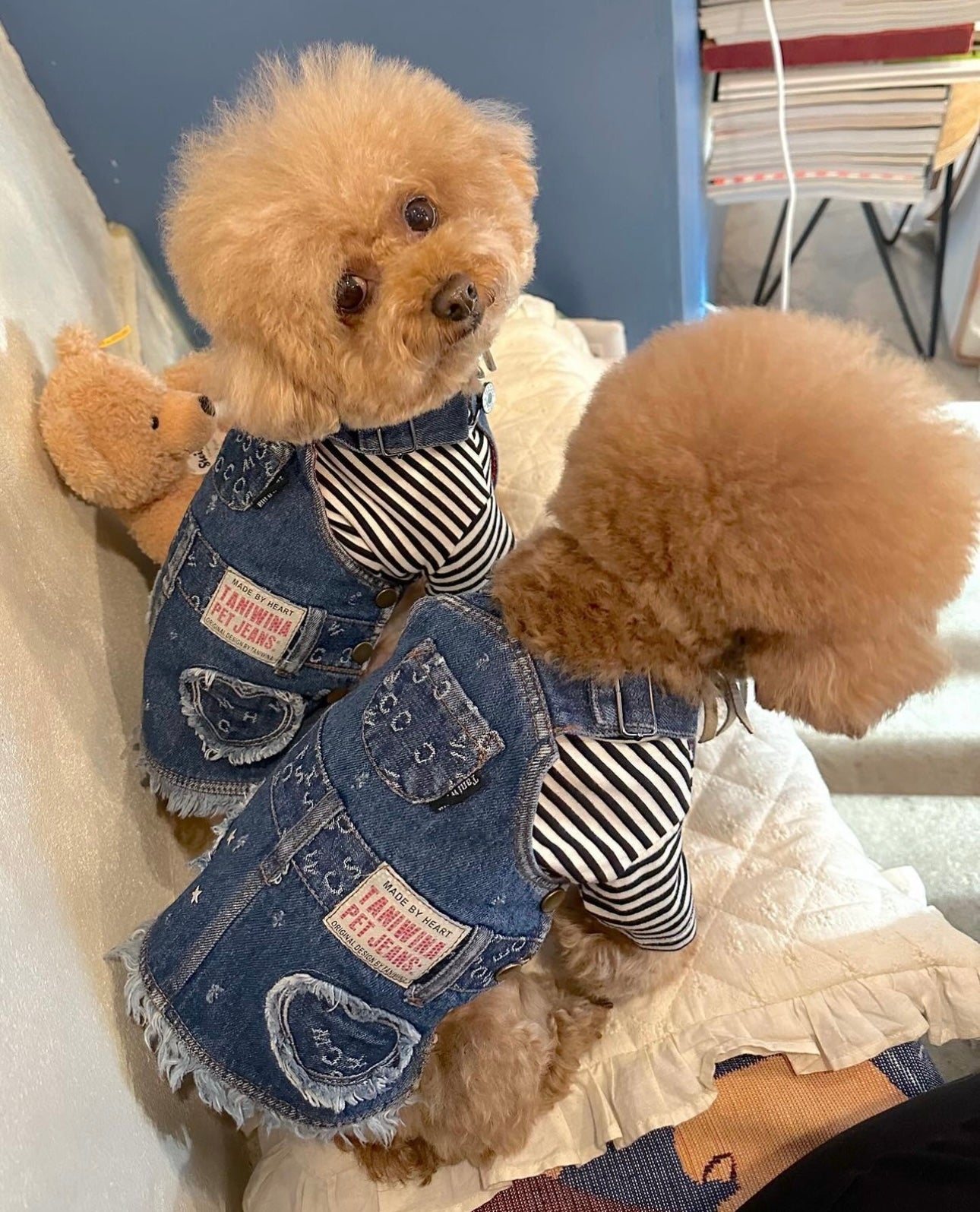 タニウィナ居心地の良いストライプの快適なティー