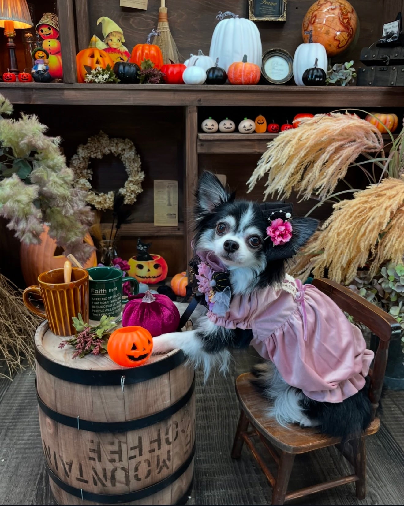 ベルベットバレンタインパンプキンドレス - ピンク版