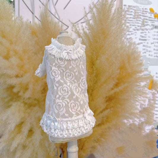 TaniWina Lace Blossom Ruffle Shirt