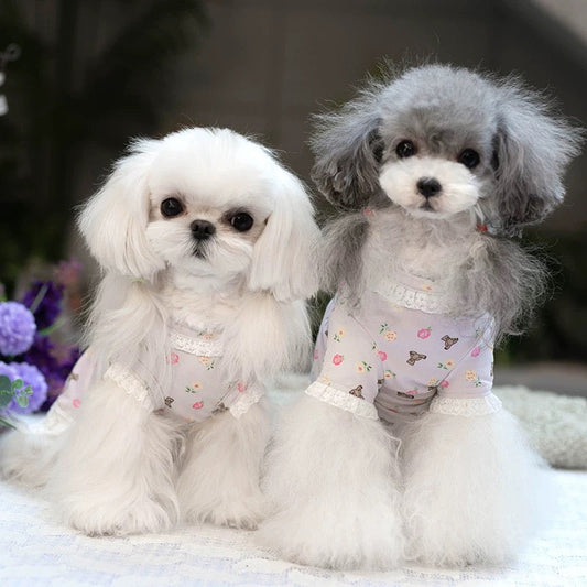 TaniWina Ecocosy Lace Wardrobe