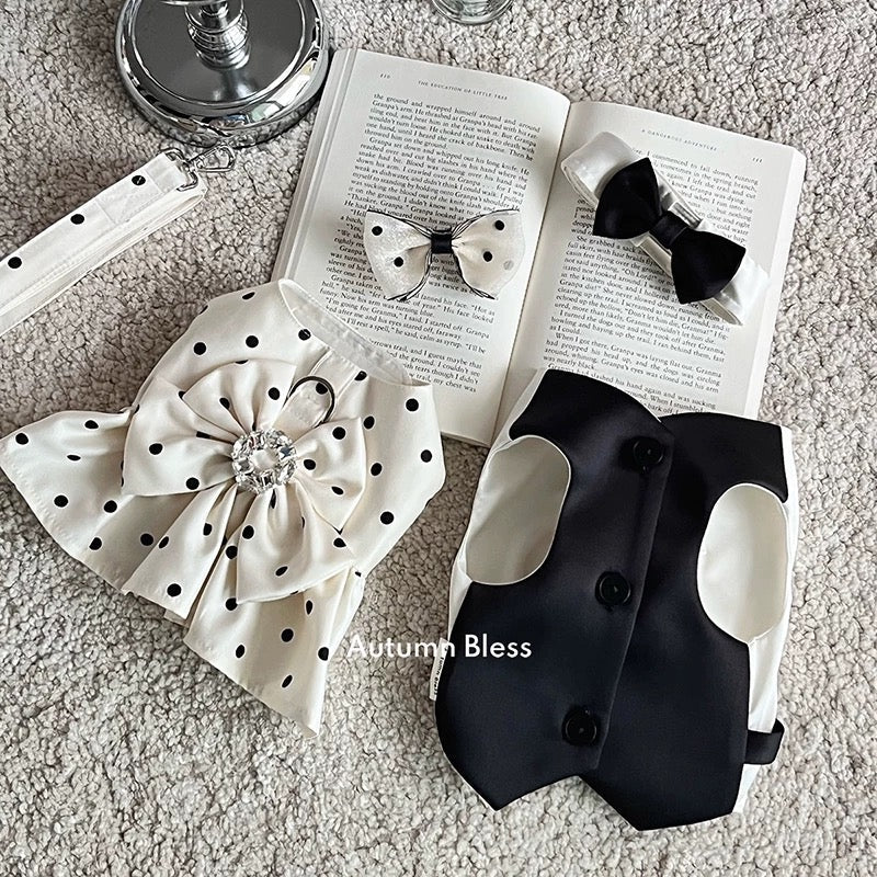 Autumn Bless サテン光沢ドレス&ベストカップルセット | Satin Glossy Dress and Vest Couple Set