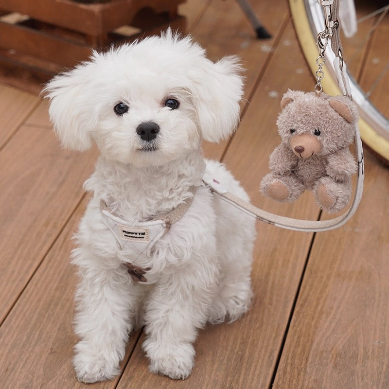 Puppytie テディベアコージーペットハーネス(猫&小型犬用)| 可愛い冬用あったかベスト|Teddy Bear Cozy Pet Harness for Cats & Small Dogs | Cute Winter Warm Vest