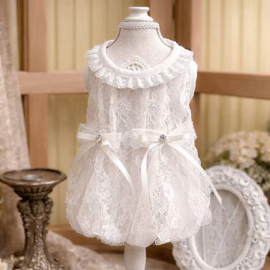 TaniWina Lace Flower Ribbon Dress (2 Colors)