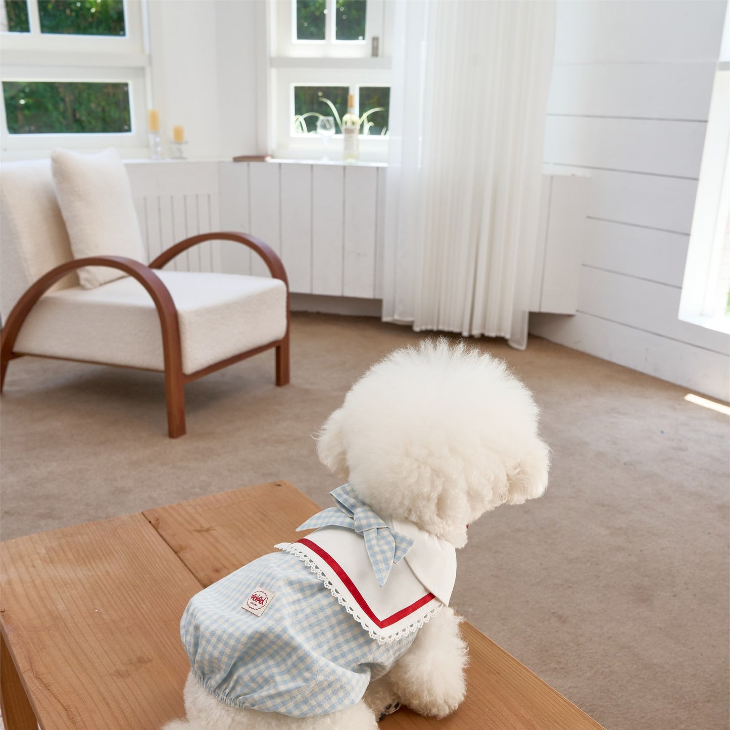 RoiRoi Gingham Story Sailor-Collar Pet Dress