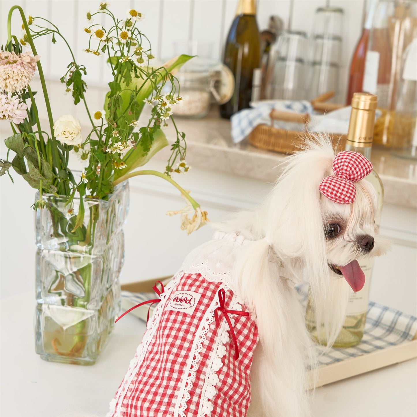 RoiRoi Red Gingham Lace Story Pet Dress