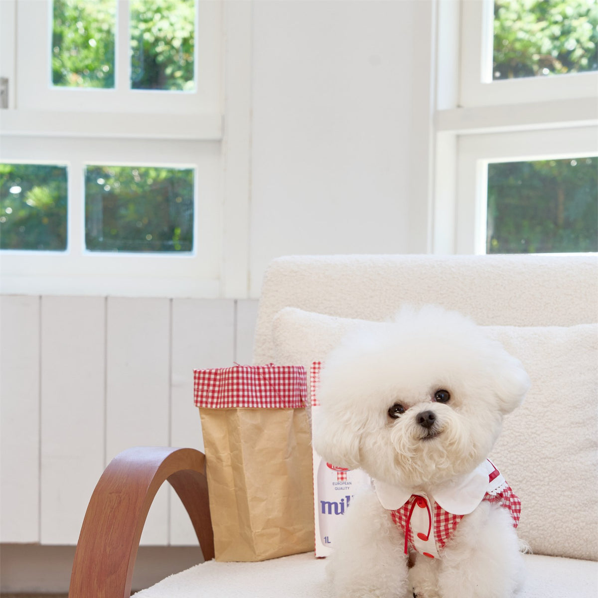 RoiRoi Gingham Story Sailor-Collar Pet Dress
