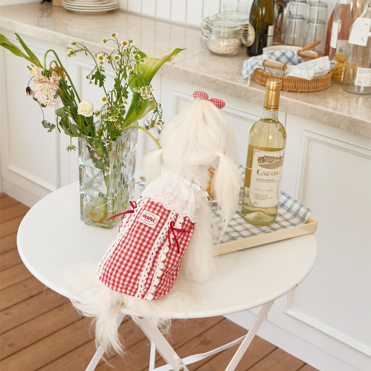 RoiRoi Red Gingham Lace Story Pet Dress
