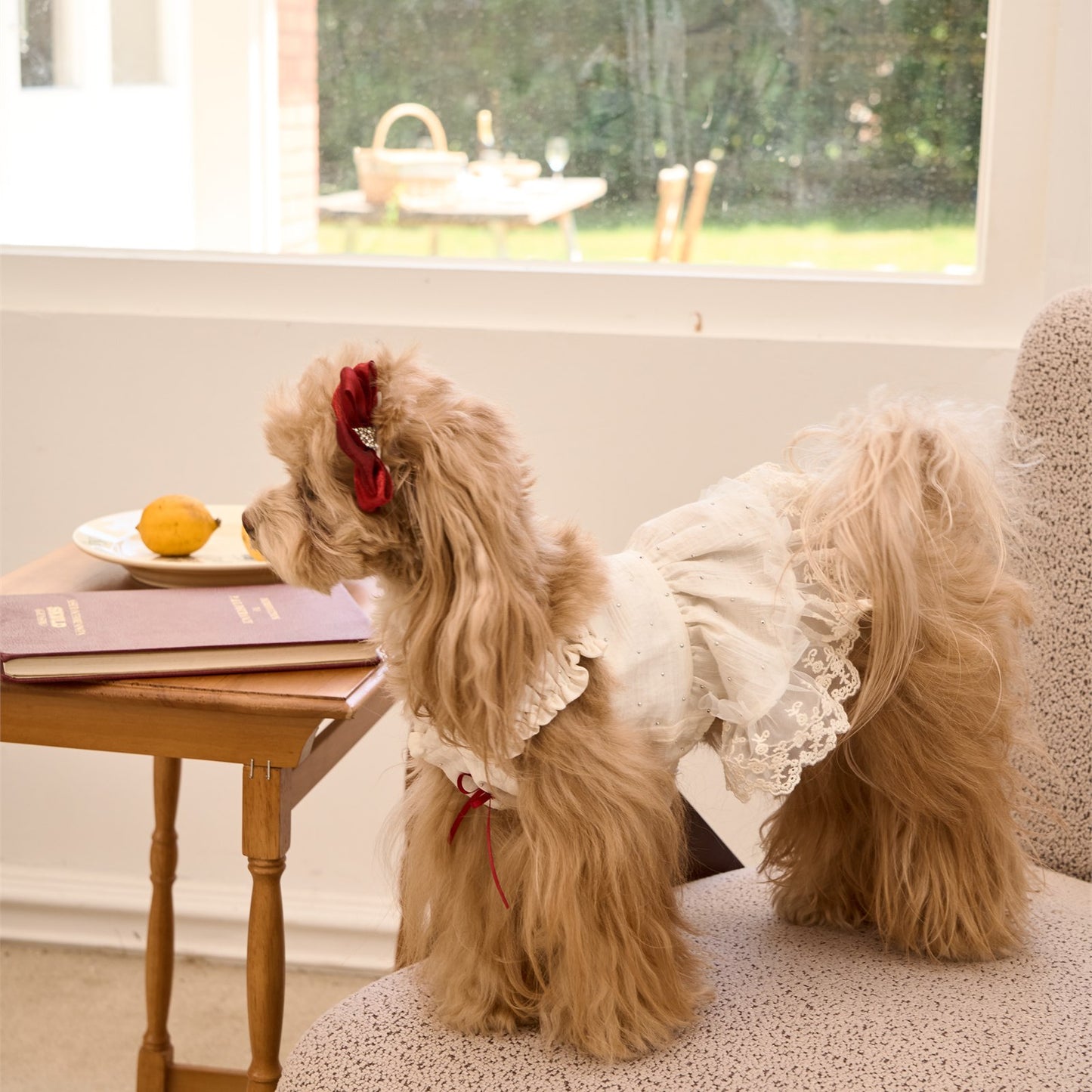 RoiRoi Sparkle-Dot Princess Tier Pet Skirt