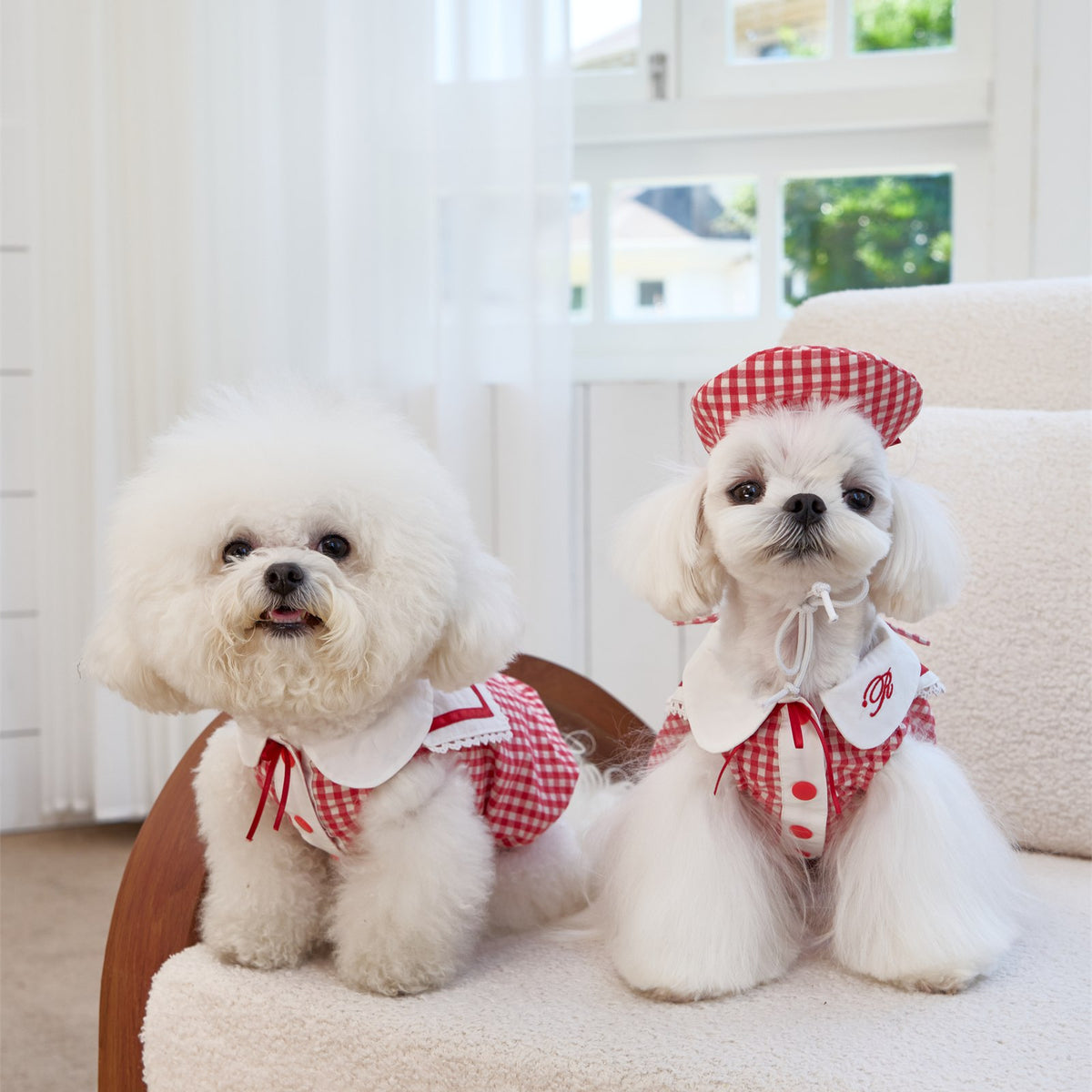 RoiRoi Gingham Story Sailor-Collar Pet Dress