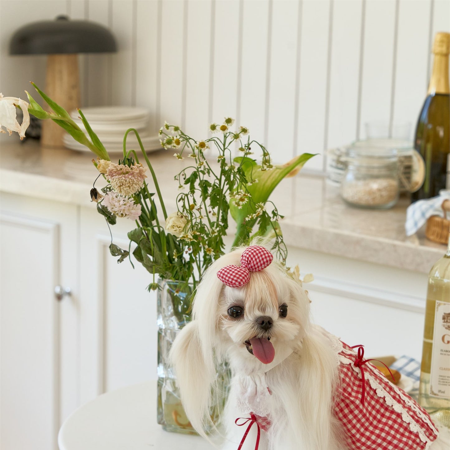 RoiRoi Red Gingham Lace Story Pet Dress