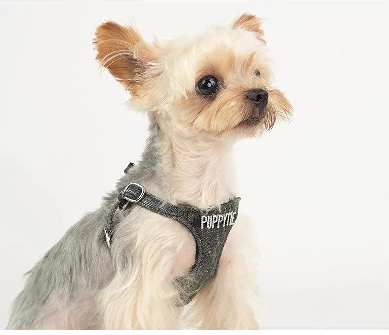 Puppytie Dog Harness Leash 세트-Teddy 및 Corgi와 같은 작은 개를위한 조끼 스타일 조절 가능한 가죽