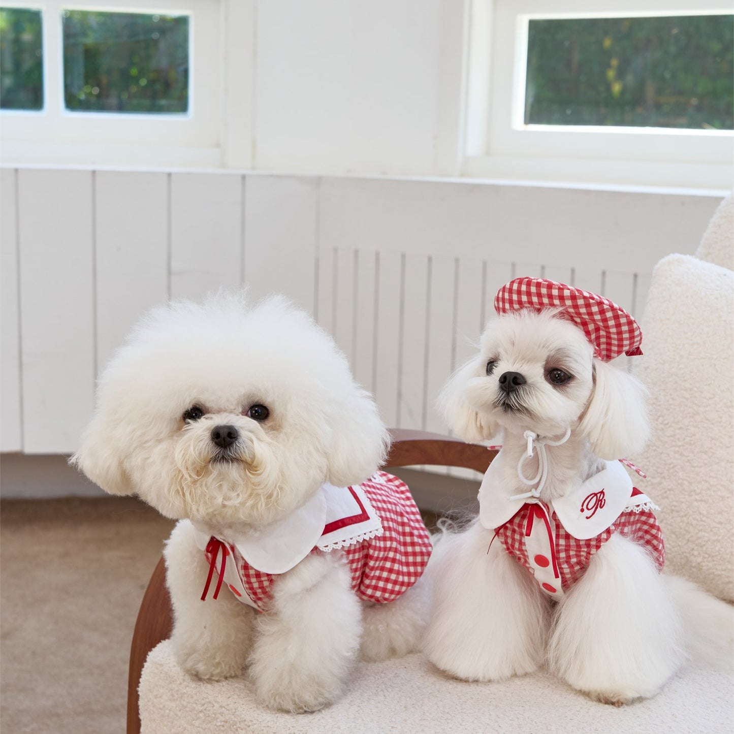 RoiRoi Gingham Story Sailor-Collar Pet Dress