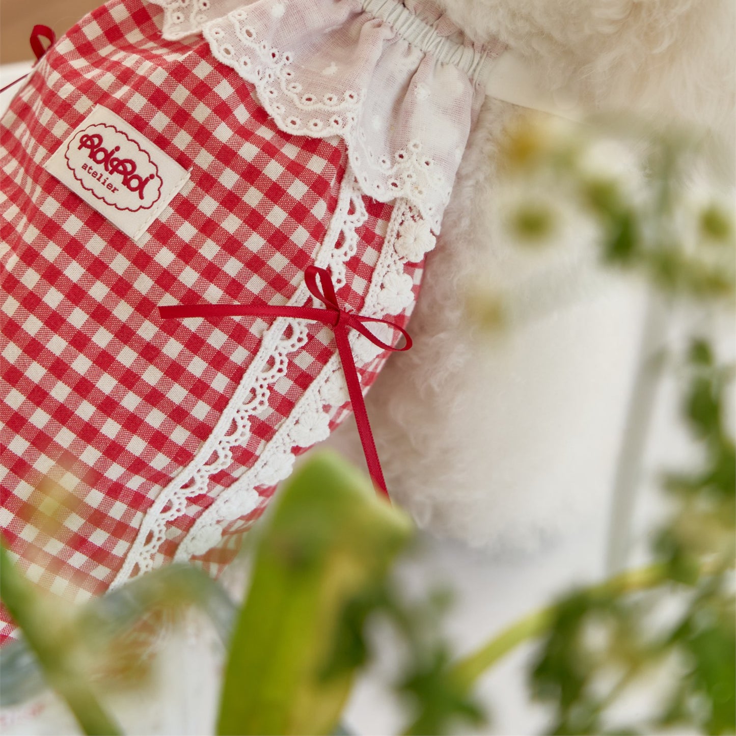 RoiRoi Red Gingham Lace Story Pet Dress