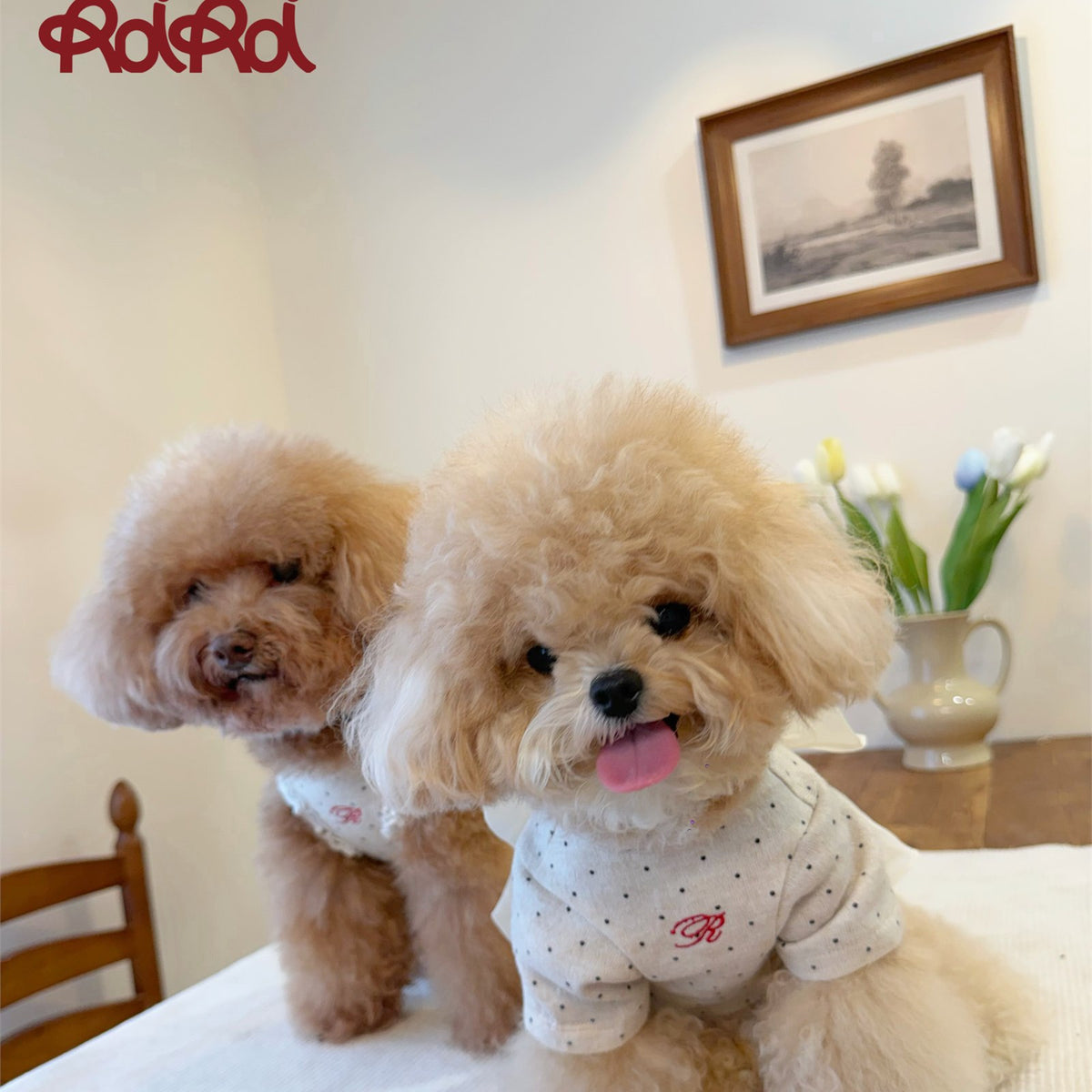 RoiRoi Cream Polka-Dot Back-Bow Pet Top