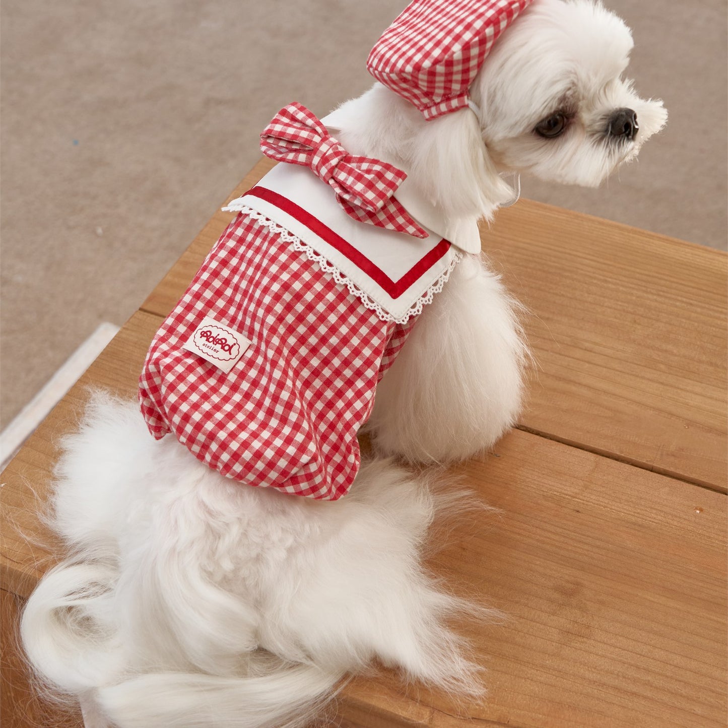 RoiRoi Gingham Story Sailor-Collar Pet Dress