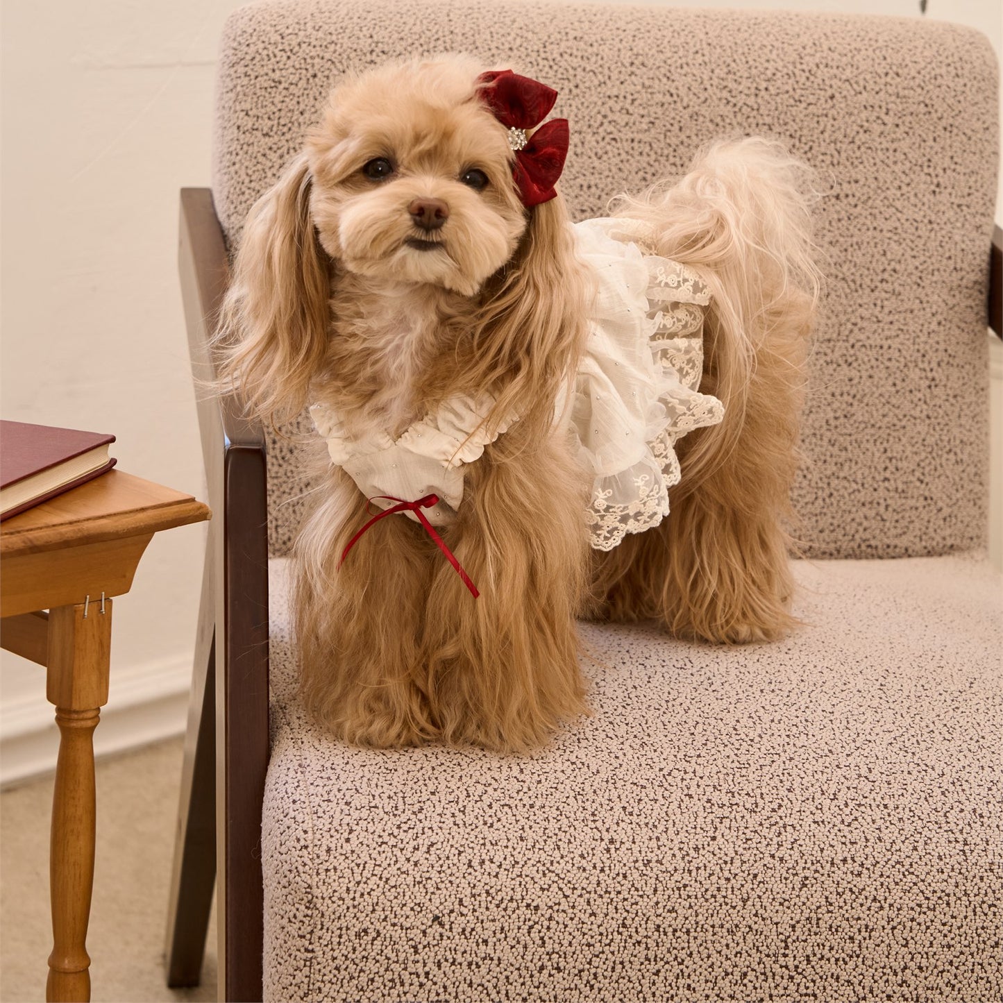 RoiRoi Sparkle-Dot Princess Tier Pet Skirt