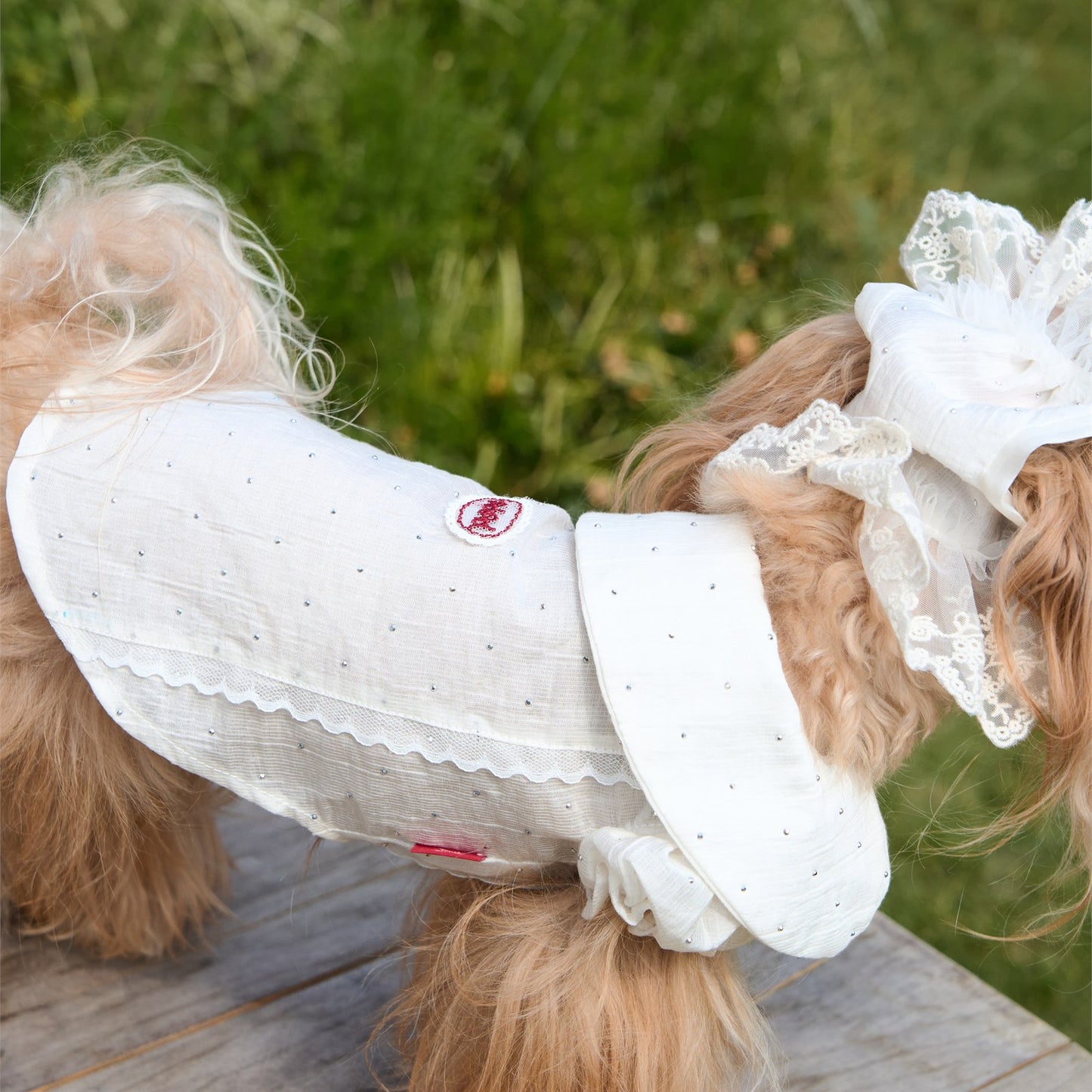 RoiRoi Red Bow Lace-Collar Academy Pet Shirt