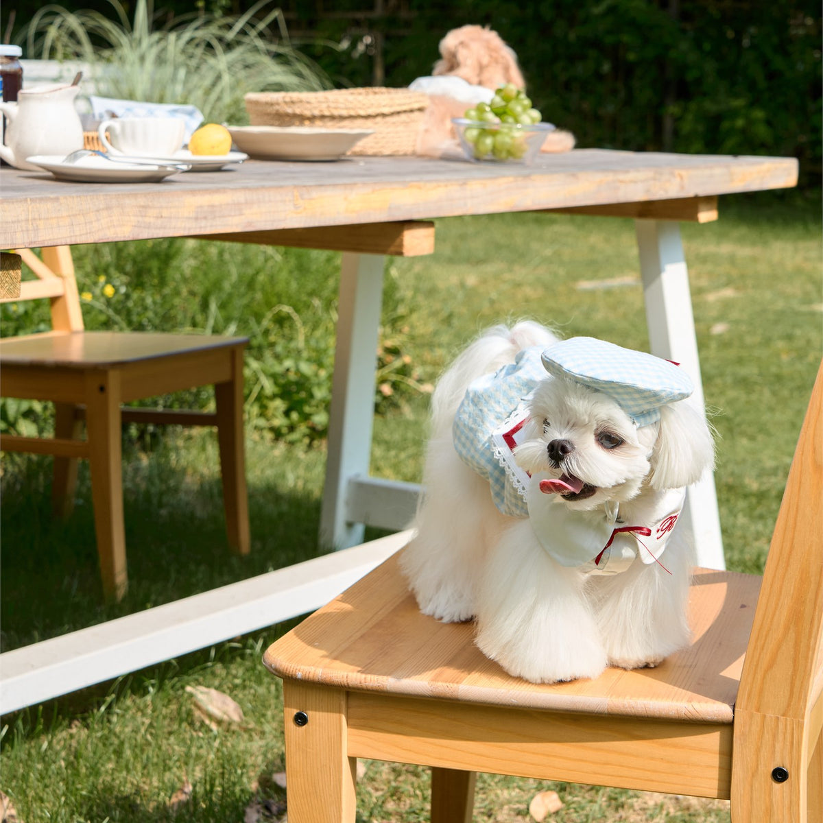 RoiRoi Gingham Story Sailor-Collar Pet Dress