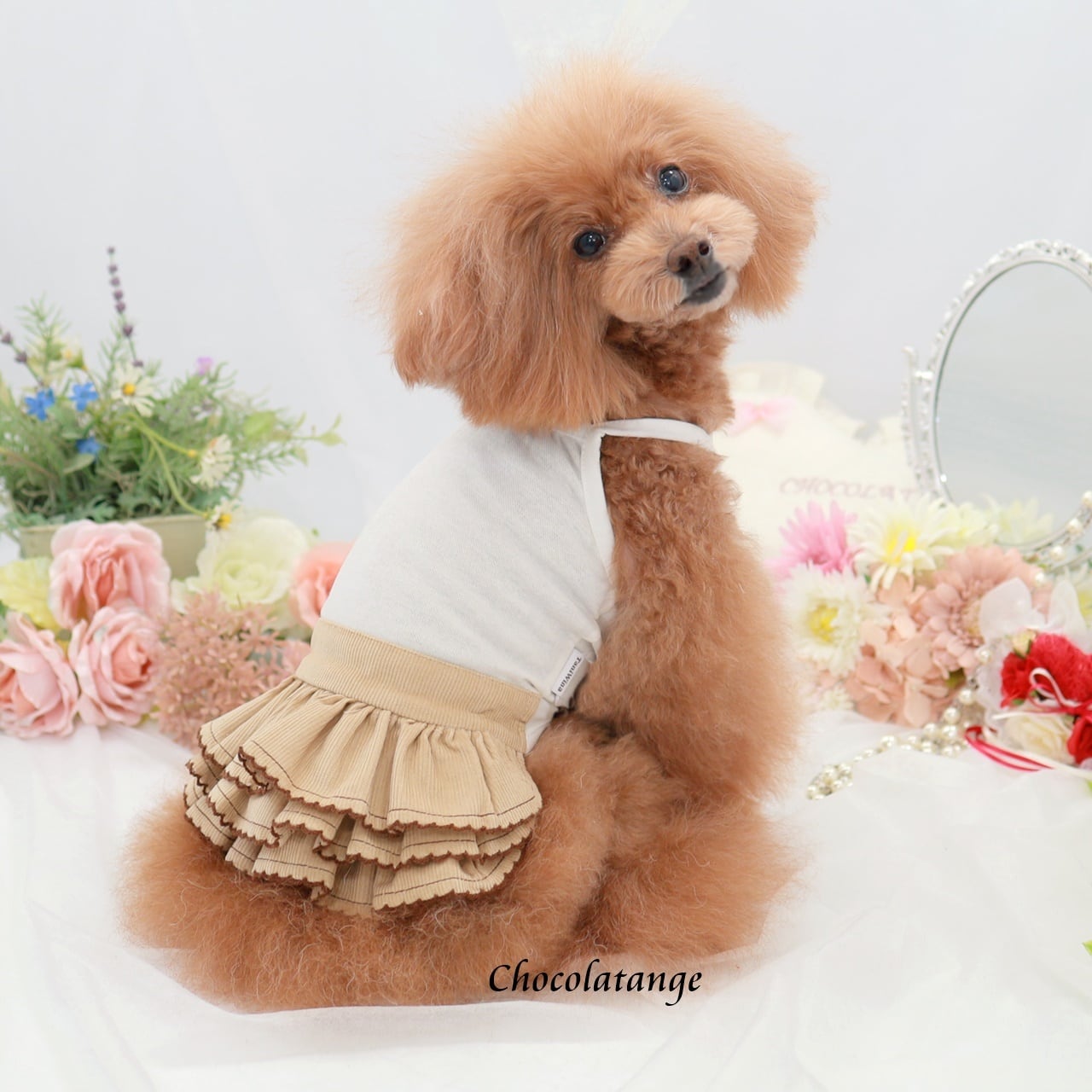 小型犬用のタニウィナベースケーキスカート